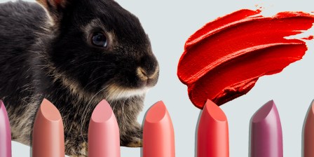 small rabbit and row of lipsticks