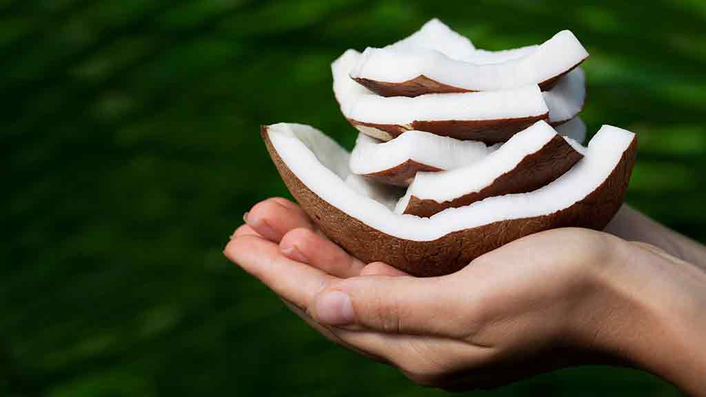 coconut husk pieces held in a stack