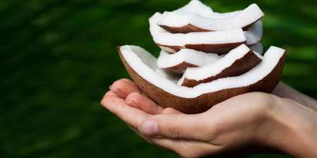 coconut husk pieces held in a stack