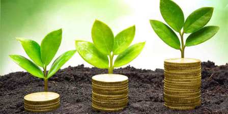 plants and money growing