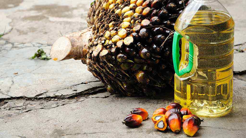 palm oil labelling
