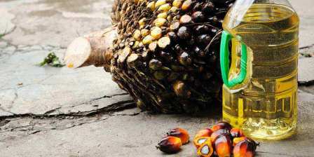 palm oil labelling