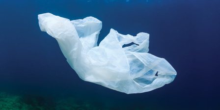 plastic bag floating in ocean biodegradable lead