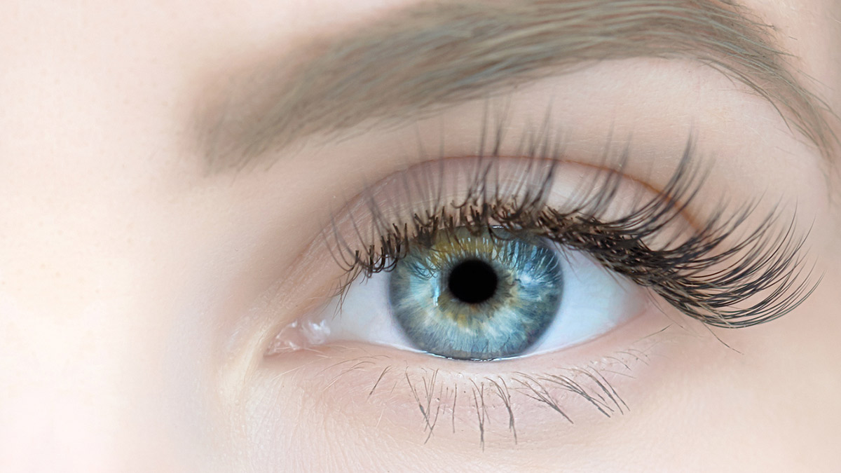 close up of eye and eyelashes