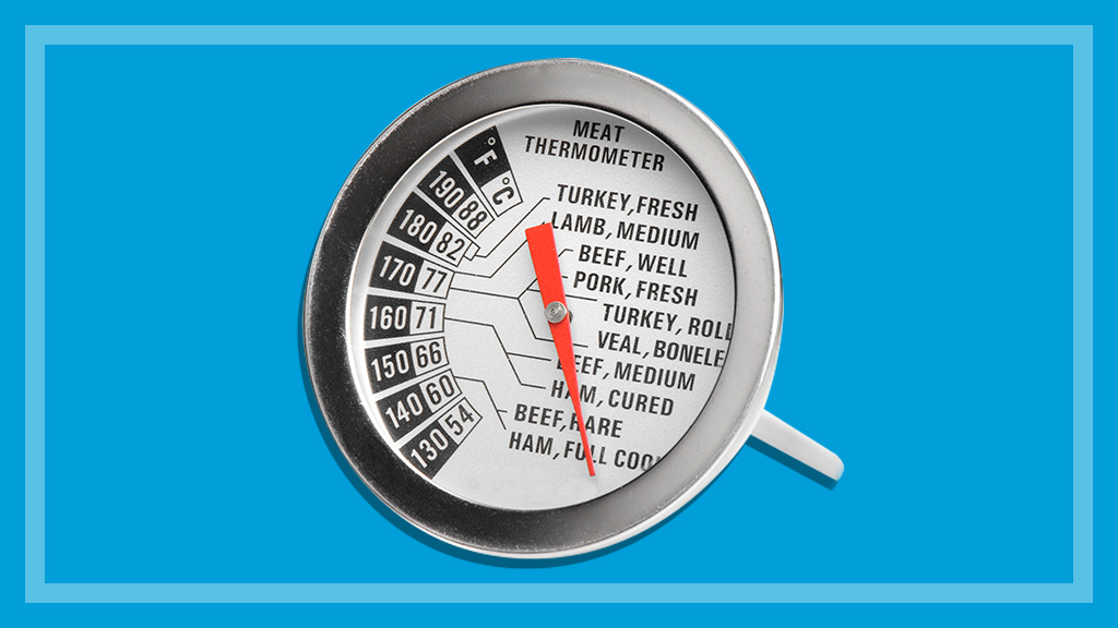 Meat thermometer reviews