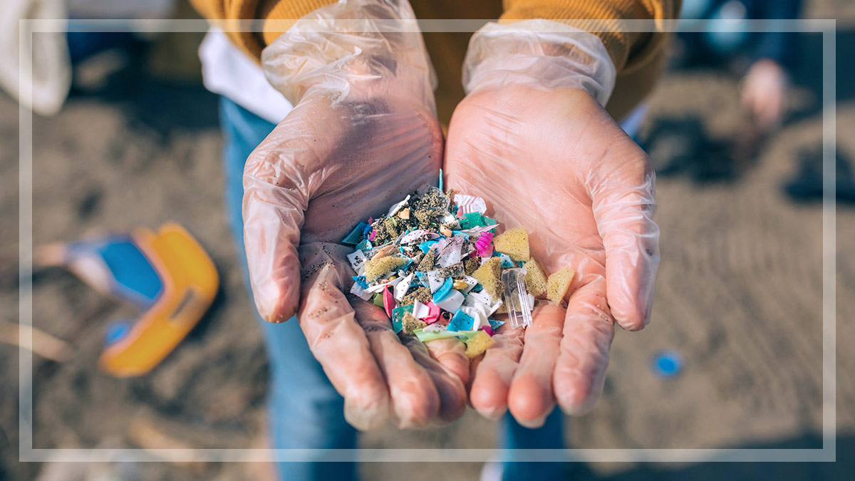 collection of microplastics collected from the ocean lead