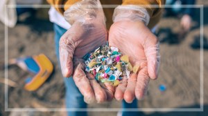 collection of microplastics collected from the ocean lead
