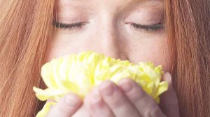 hay fever treatment