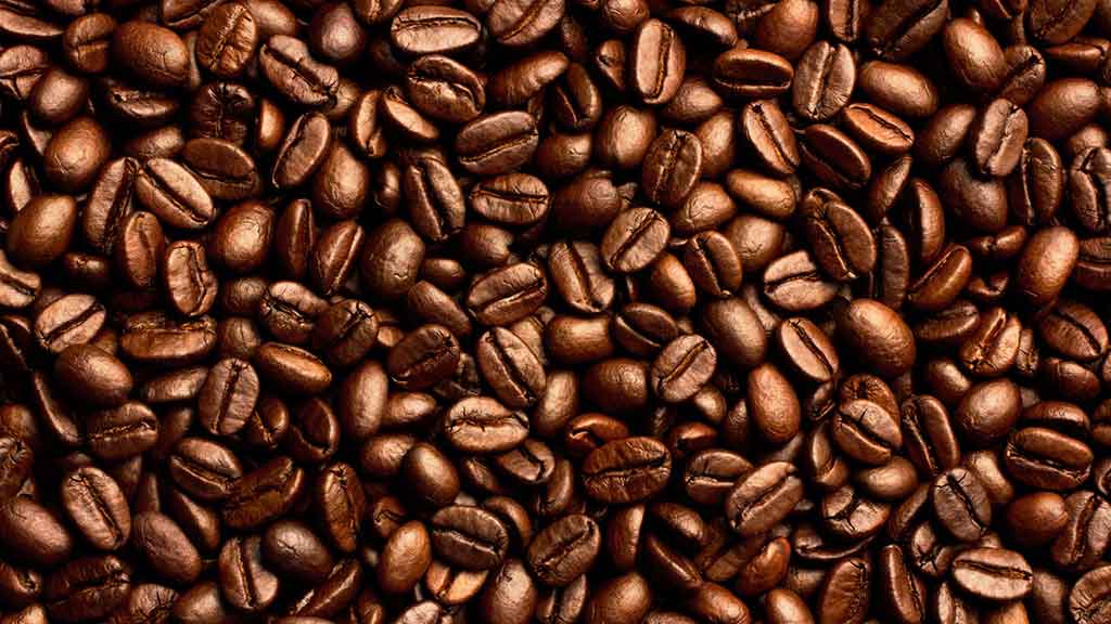 fresh coffee beans