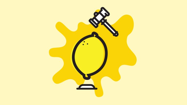 Shonkys 2020 judging