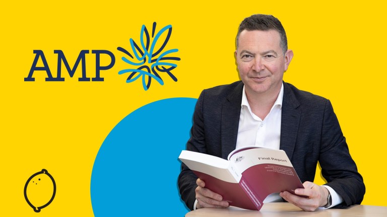 Shonkys Homepage AMP 2019 lead size