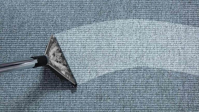 Carpet shampooer cleaning carpet