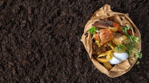 things to go in the compost bin lead