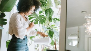 watering indoor plants at home lead