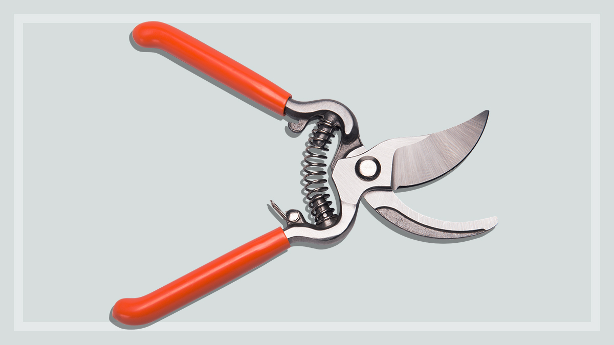 Secateurs review