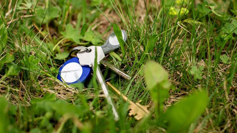 set_of_keys_with_bluetooth_tracker_dropped_in_long_grass