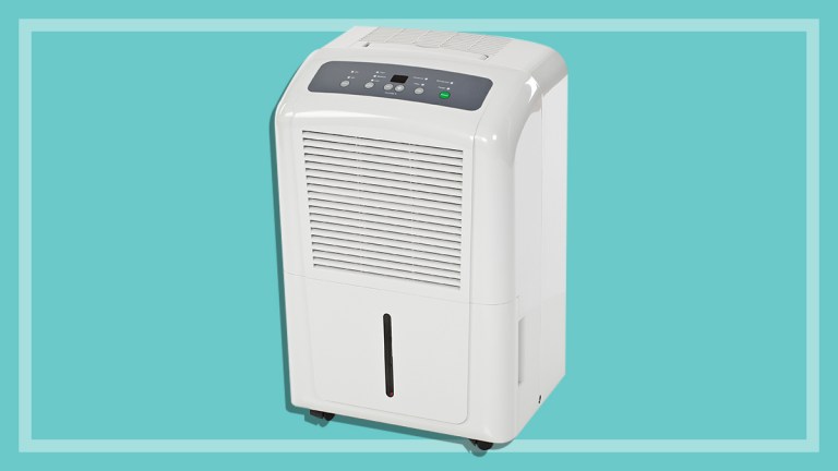 white dehumidifier on a teal background