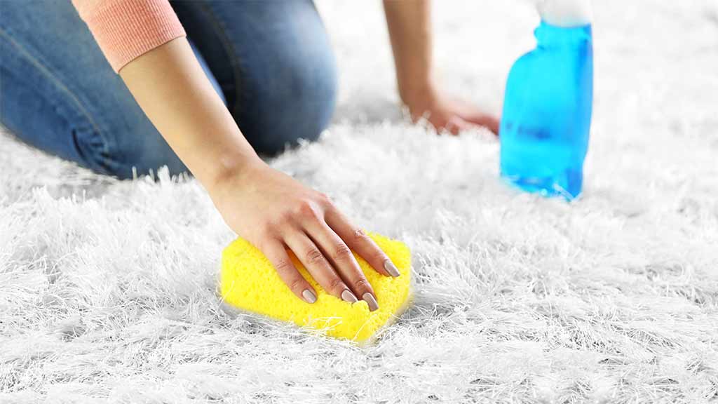 hwt cleaning a carpet stain