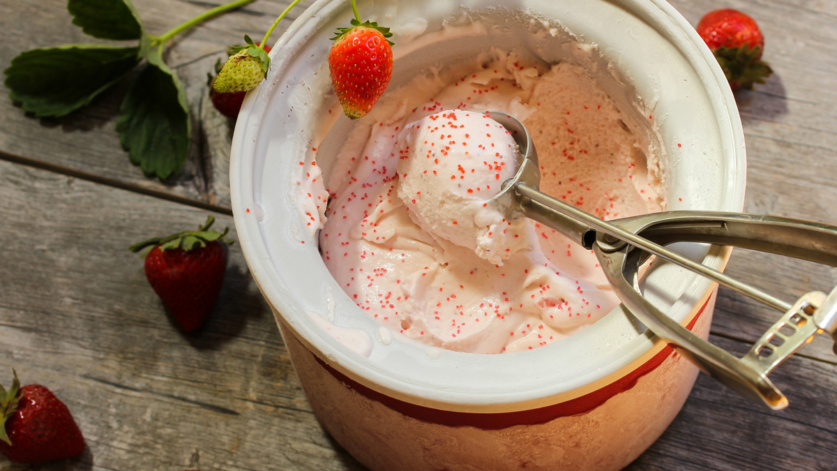Ice cream maker reviews