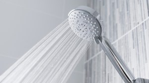 shower head reviews