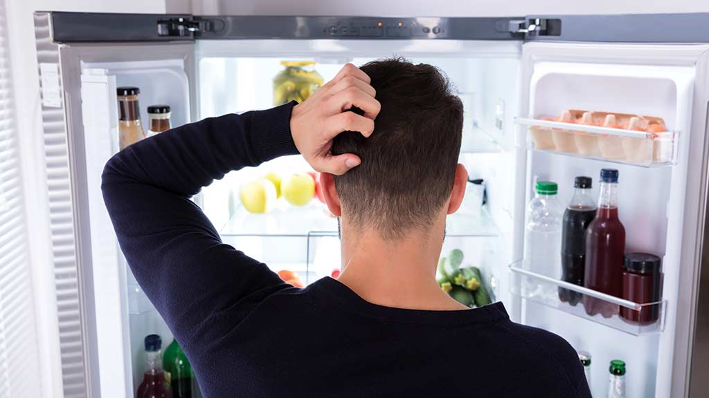 looking_inside_a_failed_broken_fridge