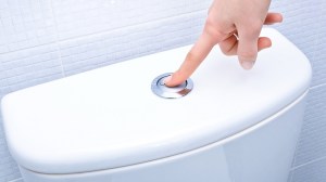 chosing_the_right_toilet_for_your_home