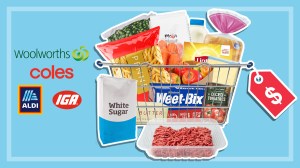 fourteen supermarket products in and around wire basket with price tag and logos