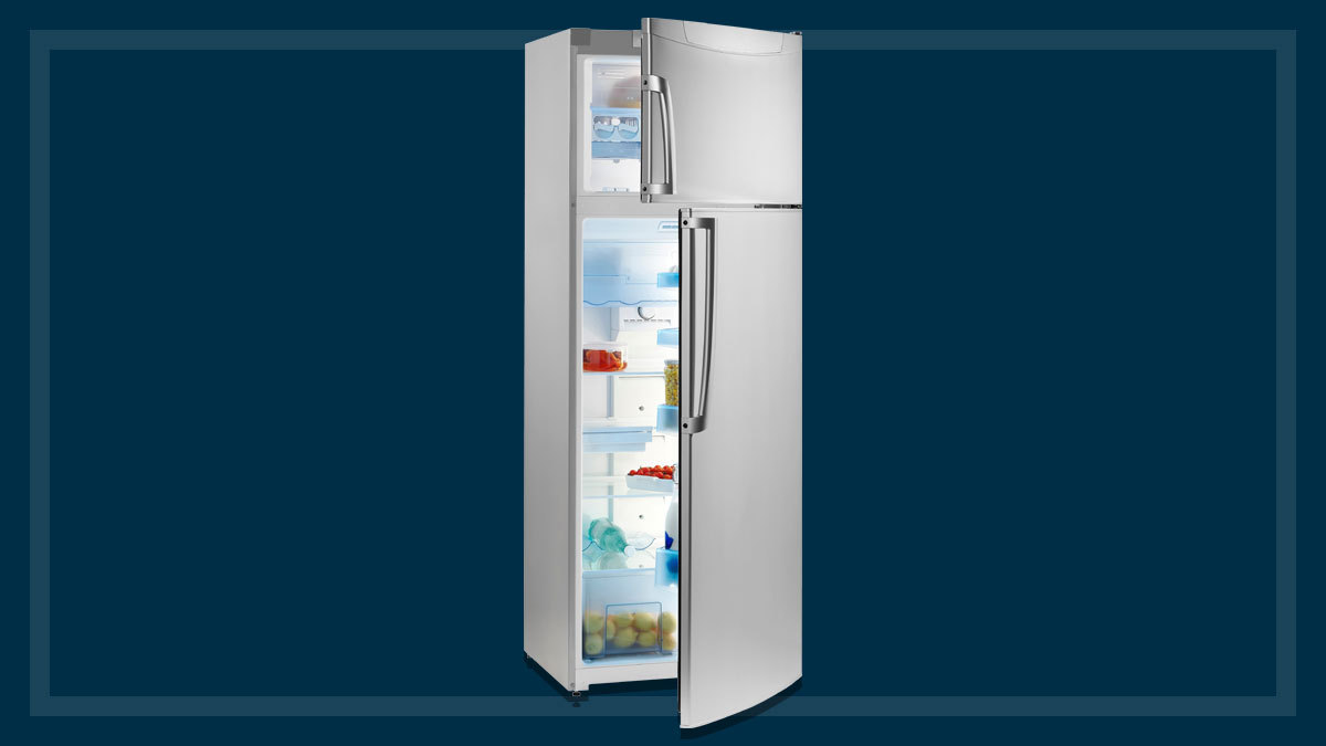 fridge_with_door_open
