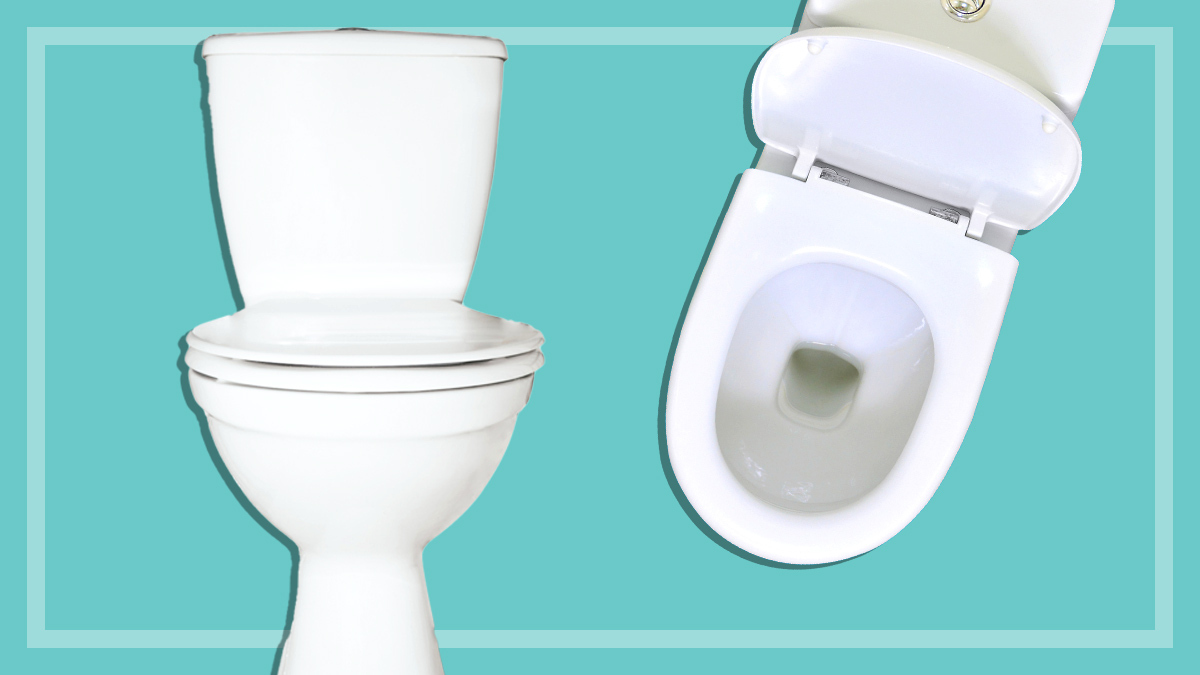 Toilet reviews