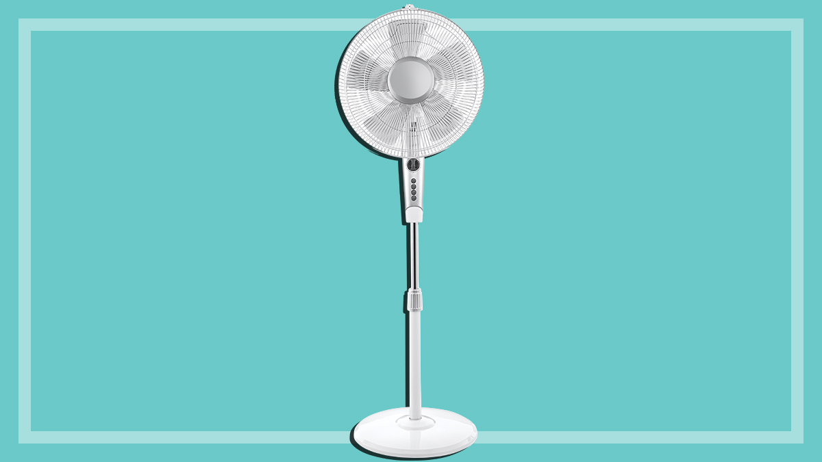 white pedestal fan