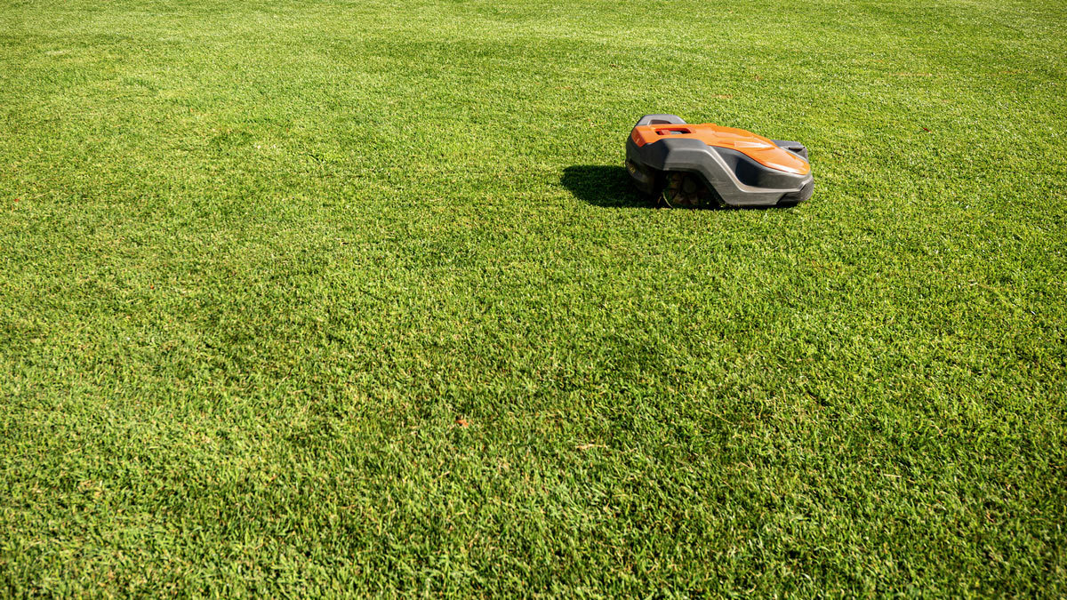 Robot lawnmower reviews
