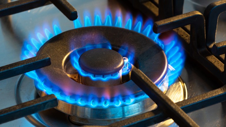 gas flames on a gas stovetop