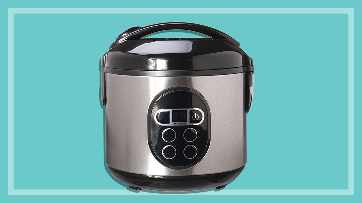 silver electric multi cooker