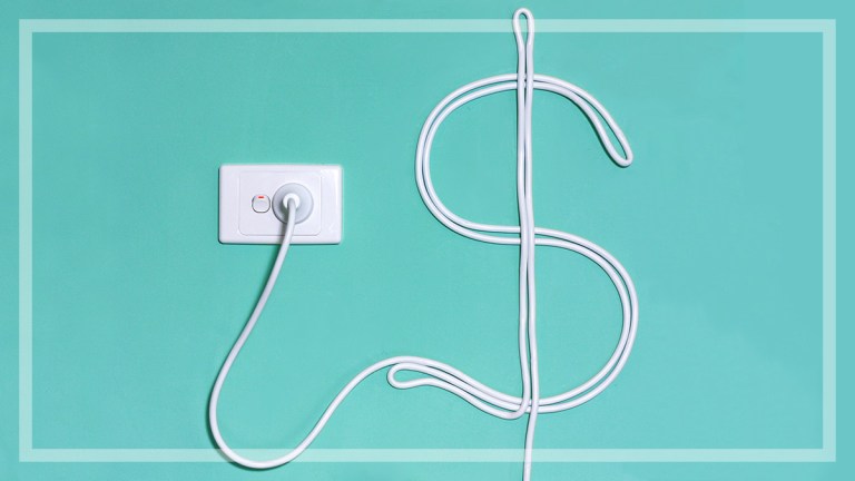 power cord dollar symbol